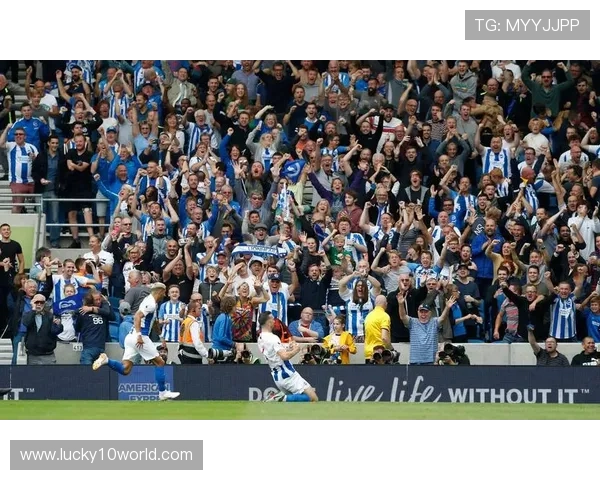 布莱顿球迷以信托基金模式深度参与球队管理与决策